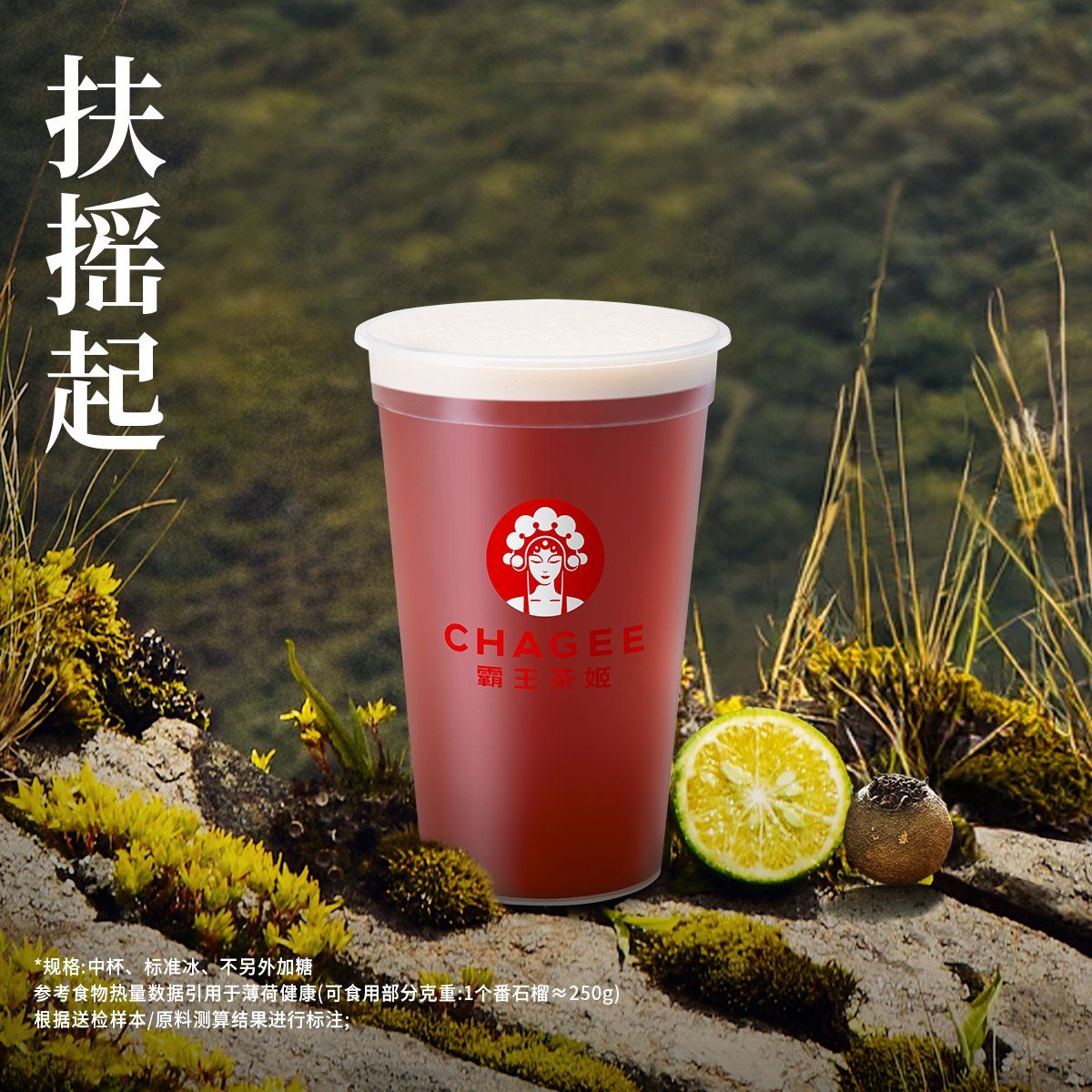 扶摇起