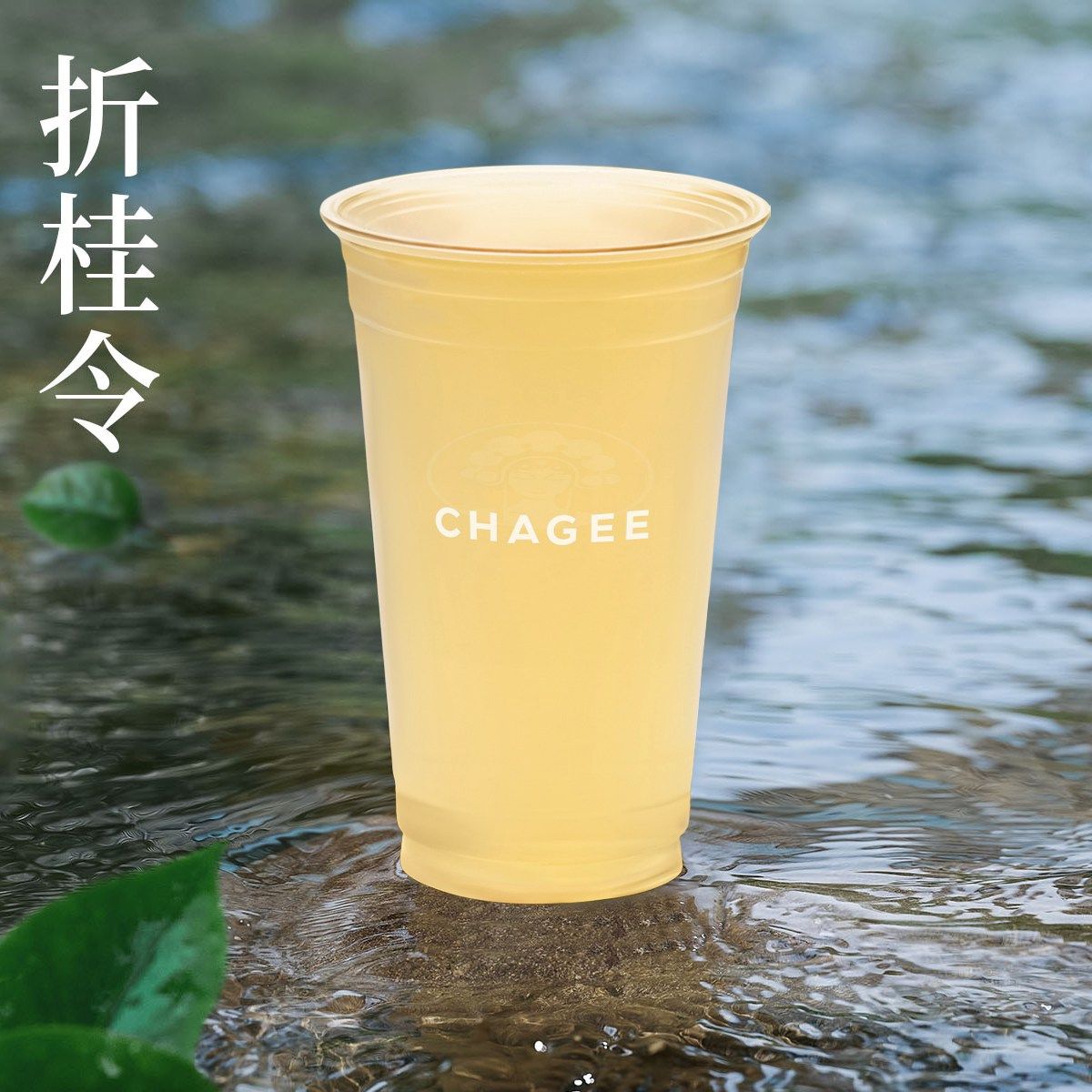 折桂令