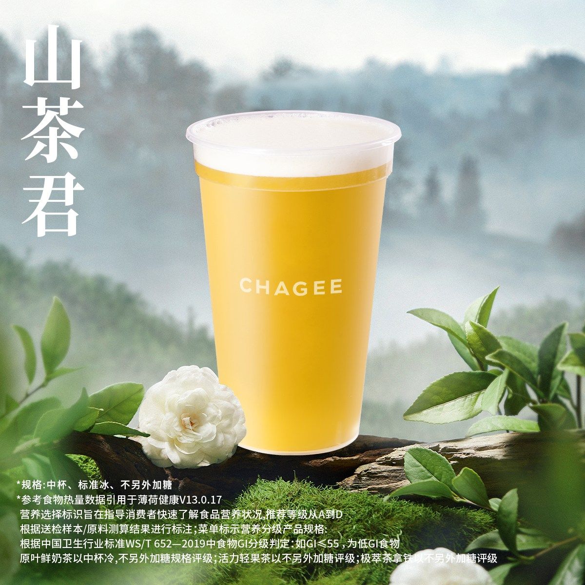 山茶君