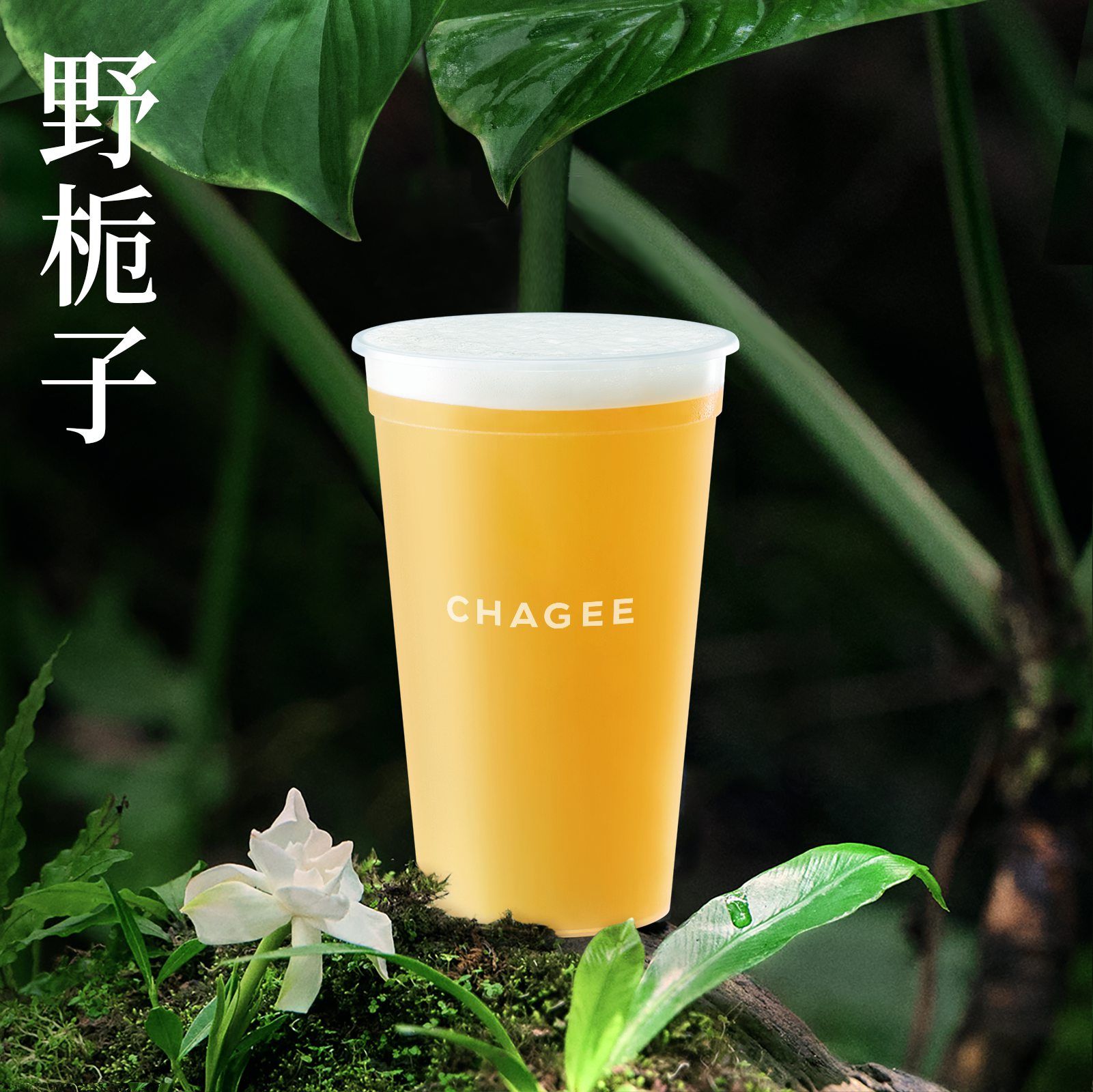 野栀子