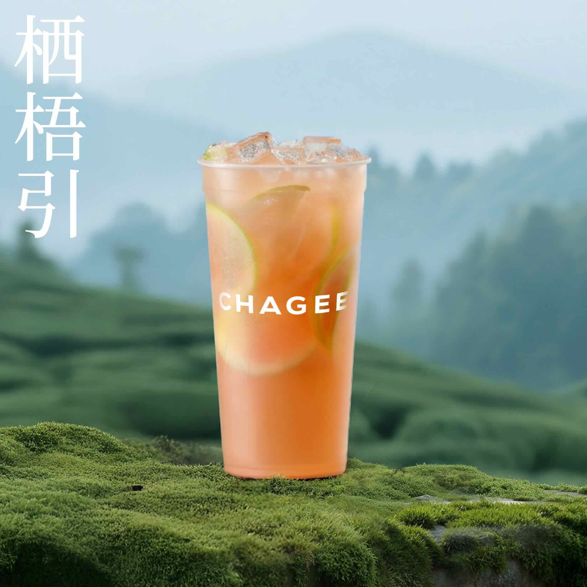 栖梧引