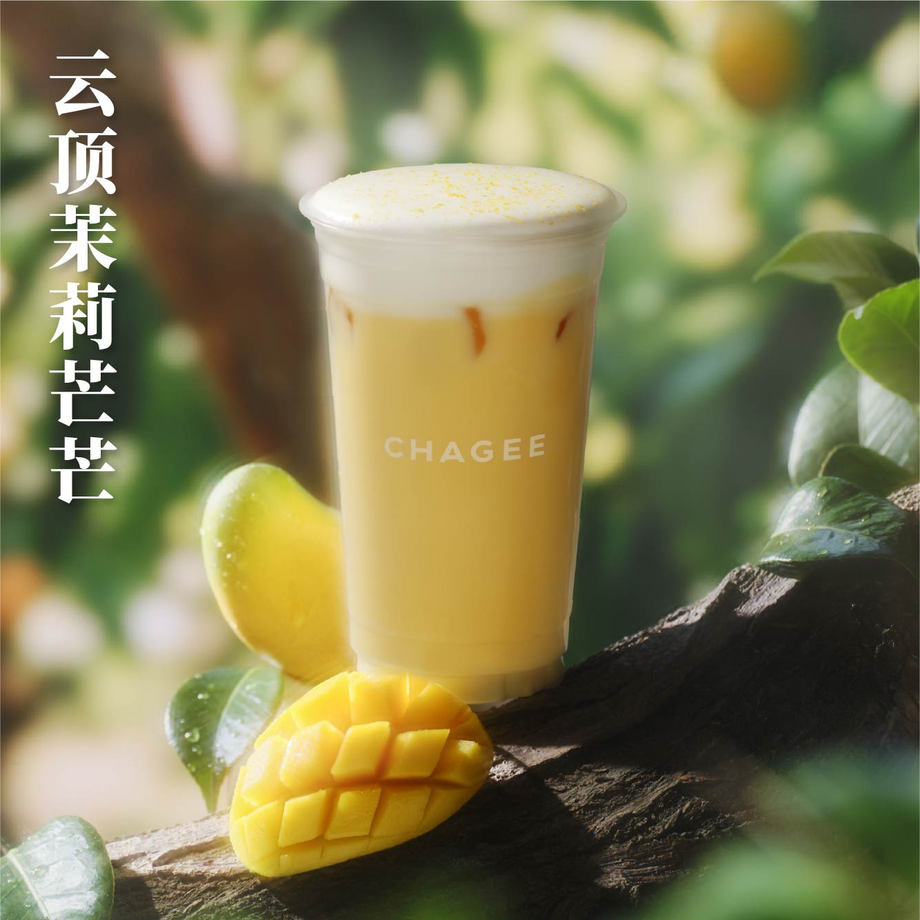 雲頂茉莉芒芒